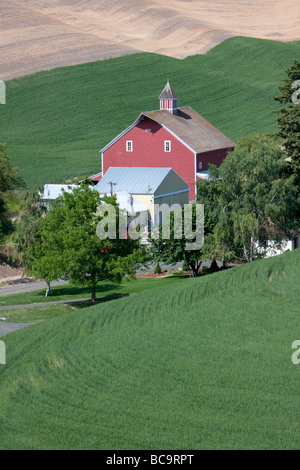 Whitman County, Palouse paese del sud-est dello Stato di Washington. Granaio rosso, alberi, campi di grano, Colline. Foto Stock