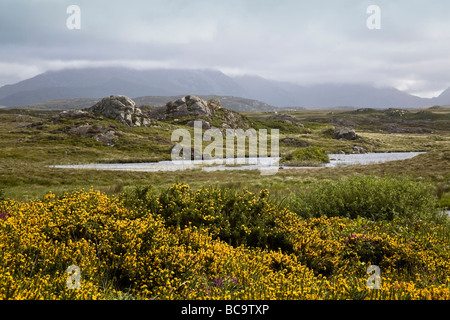 Twelve Bens, Lough Inagh Valley, Connemara, Repubblica di Irlanda Foto Stock