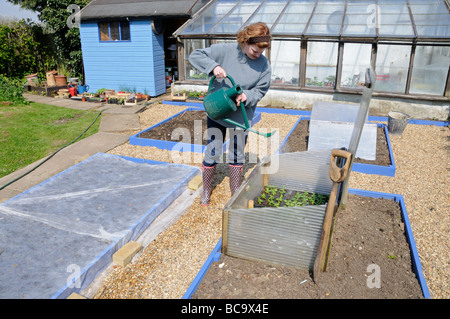 Signora giardiniere impianti di irrigazione in freddo freddo telaio telaio costituito da materiali riciclati UK Aprile Foto Stock