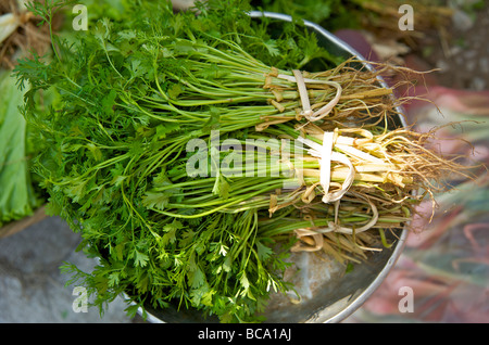 Due mazzetti di coriandolo fresco sulle scale a Luang Prabang, Laos di mercato Foto Stock