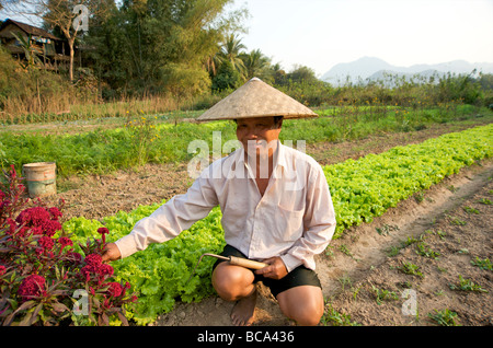 Un contadino sorridente felice tende la sua trama sul fiume a Luang Prabang Laos Foto Stock