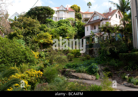 Case in Baia Mosman NSW Sydney Australia Foto Stock