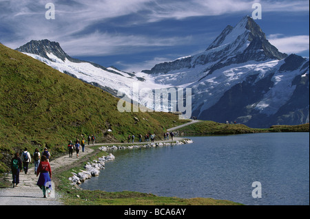 Vista sul lago di Bachalpsee, Wetterhorn e Schreckhorn montagne, vicino a Grindelwald, Oberland bernese, Svizzera Foto Stock