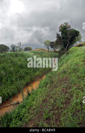 Le Colline Metallifere, Toscana. Area contaminata da rifiuti di miniera Foto Stock