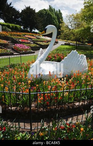 Display floreali e il famoso swan in giardini Stapenhill, Burton upon Trent, Staffordshire Foto Stock