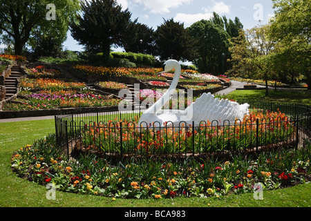 Display floreali e il famoso swan in giardini Stapenhill, Burton upon Trent, Staffordshire Foto Stock