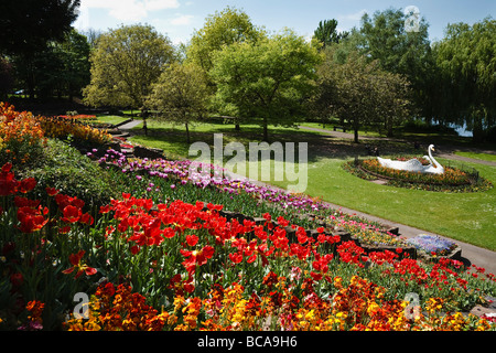 Display floreali e il famoso swan in giardini Stapenhill, Burton upon Trent, Staffordshire Foto Stock