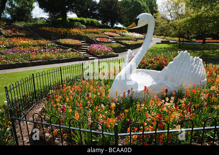 Display floreali e il famoso swan in giardini Stapenhill, Burton upon Trent, Staffordshire Foto Stock