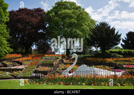 Display floreali e il famoso swan in giardini Stapenhill, Burton upon Trent, Staffordshire Foto Stock