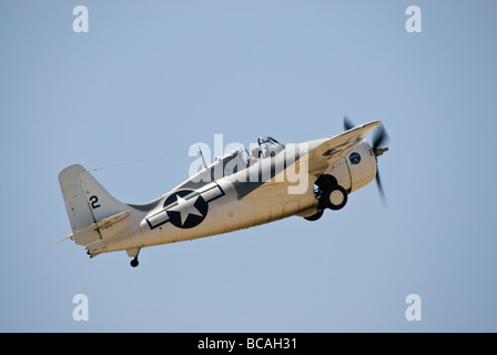 Un Grumman F4F Wildcat dopo che esso ha sollevato la pista di un air show.(l'ingranaggio parzialmente ritratta) Foto Stock