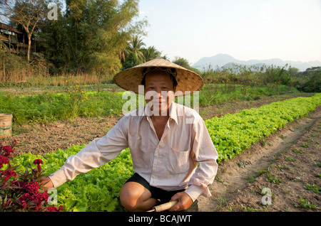 Un contadino sorridente felice tende la sua trama sul fiume a Luang Prabang Laos Foto Stock