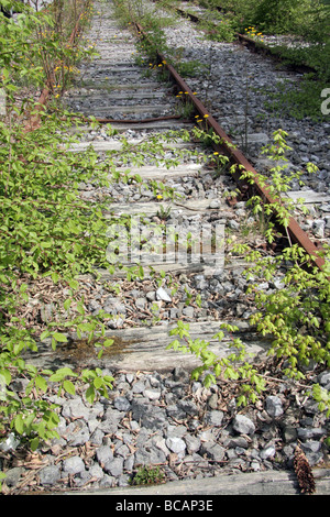 Ricoperta di binario in Baviera Germania Europa Foto Stock