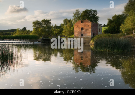 Cutt mulino sul fiume Stour in sera la luce solare Foto Stock