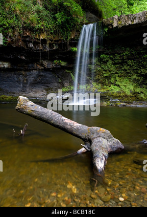 Sgwd Gwladus cascata vicino Pontneddfechan nel Parco Nazionale di Brecon Beacons, Galles Foto Stock