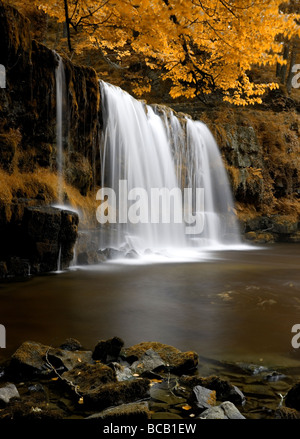 Sgwd Ddwli Uchaf cascata vicino Pontneddfechan nel Parco Nazionale di Brecon Beacons, Galles Foto Stock