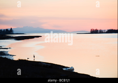 Tramonto sullo Stretto di Georgia presso il braccio medio in Richmond Vancouver British Columbia Canada Foto Stock