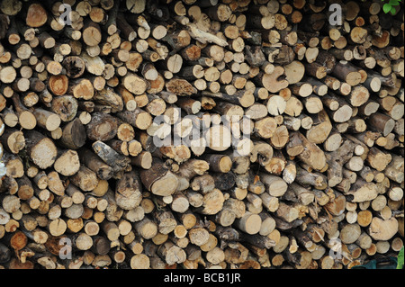 Logs impilati per incendi di inverno Foto Stock