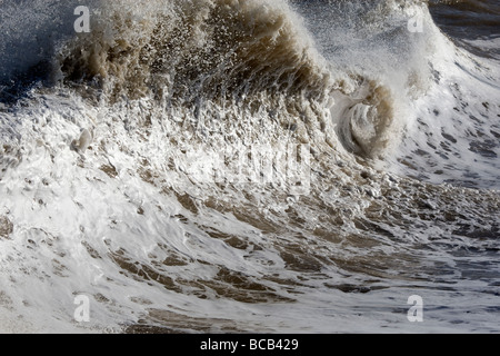 Di rottura e di onde che si infrangono, costa di NORFOLK REGNO UNITO Foto Stock