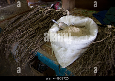 Le due forme di Kava, polverizzato e la radice di greggio è in vendita in un mercato della città di sigatoka su Viti Levu nelle isole Figi Foto Stock