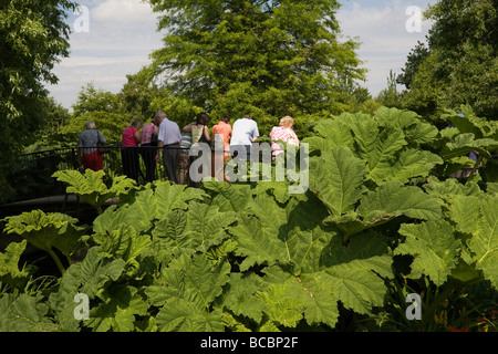 I visitatori di RHS Garden Hyde Hall Essex Foto Stock