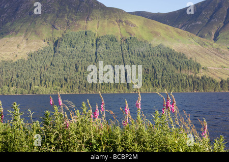 Loch Lochy, altopiani, Scozia. Foto Stock