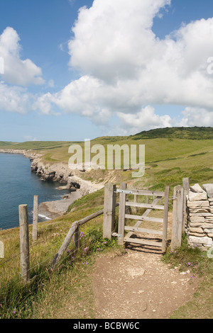 Vista della battuta di ballo sulla costa sud ovest percorso nell'isola di Purbeck, Dorset, Regno Unito Foto Stock