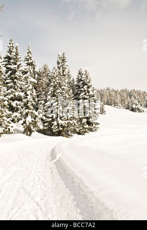 Paesaggi invernali Torgnon Aosta Italia Foto Stock