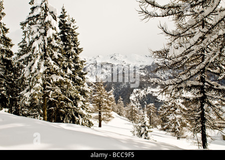 Paesaggi invernali Torgnon Aosta Italia Foto Stock