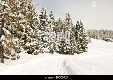 Paesaggi invernali Torgnon Aosta Italia Foto Stock