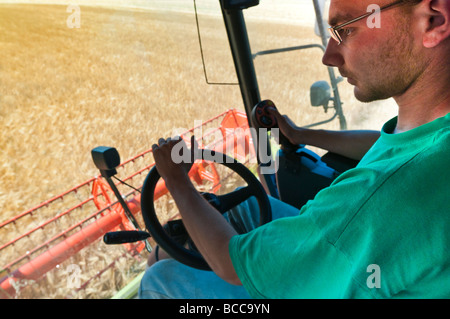 Conducente in cabina di Claas Lexion 540 Mietitrebbia, la raccolta di orzo estivo - Indre-et-Loire, Francia. Foto Stock