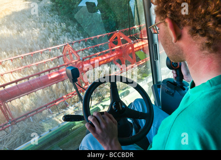 Conducente in cabina di Claas Lexion 540 Mietitrebbia, la raccolta di orzo estivo - Indre-et-Loire, Francia. Foto Stock