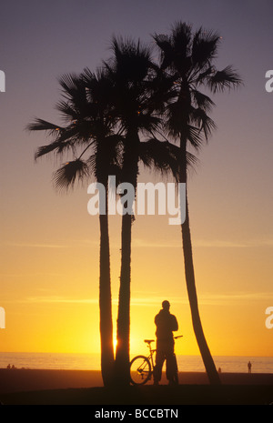 Ciclista e palme Foto Stock