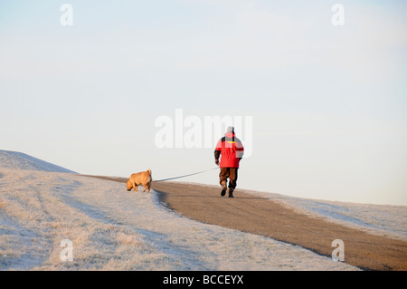 Dog walker, Frost scena in inverno, Inghilterra Foto Stock