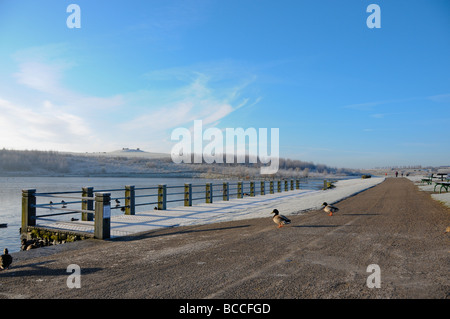 Herrington park sunderland Foto Stock