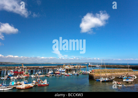 Porto di Newlyn porto della flotta di pesca nel periodo estivo da giugno sunshine Penzance Cornish Riviera Cornwall Inghilterra UK Regno Unito GB grande Foto Stock