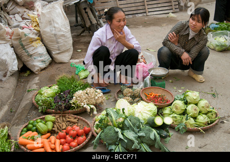 Una donna vietnamita squat con la sua fresca di stallo vegetale sul marciapiede nella città vecchia di Hanoi e Foto Stock