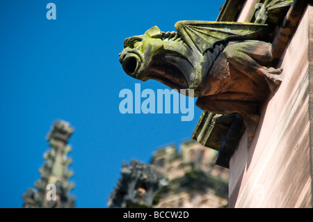 Gargoyle di pietra sul lato esterno della Cattedrale di Chester, Chester, Cheshire, Inghilterra, Regno Unito Foto Stock