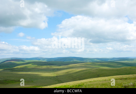 Coquetdale superiore, Otterburn varia, il Parco nazionale di Northumberland, England Regno Unito Foto Stock