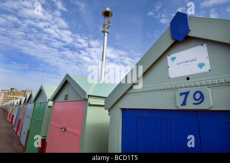 Beach Hut numero 79 per la vendita su prati di Hove passeggiata nella città di Brighton e Hove East Sussex Regno Unito Foto Stock