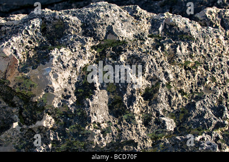 Close up weathered e snocciolate le formazioni rocciose di essere demolito da mare e sabbia, trovato su Balnakeil bay, Durness, Scozia Foto Stock