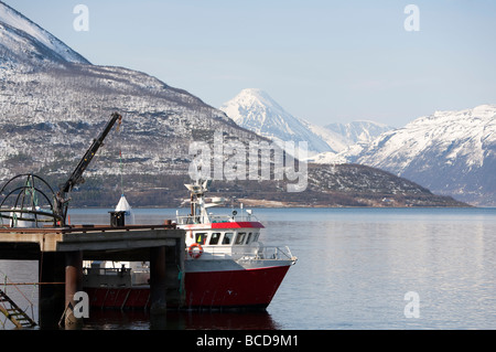 Piccola nave da carico essendo caricati al molo in Storfjord Skibotn Norvegia Foto Stock