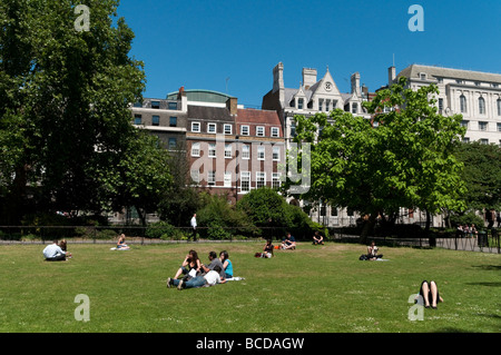 Lincoln' s Inn Fields Londra Inghilterra Gran Bretagna REGNO UNITO Foto Stock