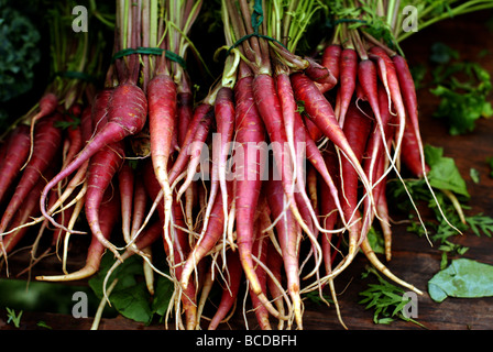 Colorata frutta e verdura ad Evanston Mercato degli Agricoltori. Carote rosse Foto Stock