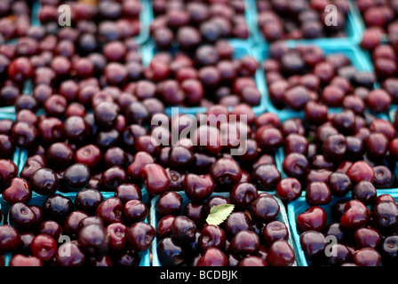 Colorata frutta e verdura ad Evanston Mercato degli Agricoltori. Le ciliegie Foto Stock