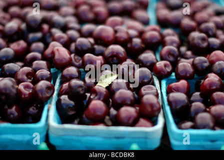 Colorata frutta e verdura ad Evanston Mercato degli Agricoltori. Le ciliegie Foto Stock