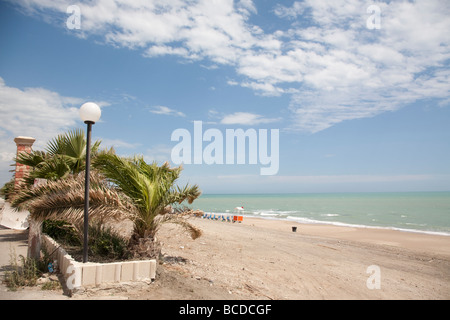 Spiaggia Vicino a Falconara Foto Stock