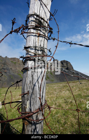Ásbyrgi, Islanda Foto Stock