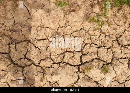 Asciugare il suolo agricolo a causa di condizioni di tempo asciutto nel Regno Unito Foto Stock