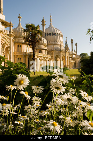 Il fronte est della Brighton Pavillion visto in inizio di mattina di sole Foto Stock