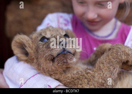 Capelli biondi bambina azienda LION CUB. Foto Stock